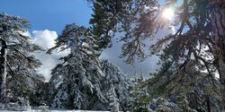 Прекрасный зимний пейзаж в горах Троодос